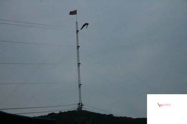 20241009-948wt