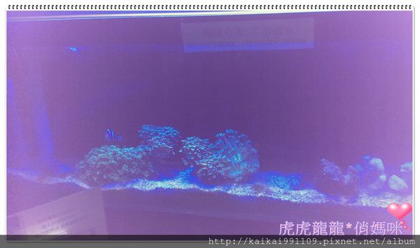 20241009-36re3