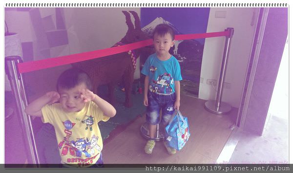 20241009-losed