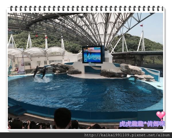 20241009-v0847