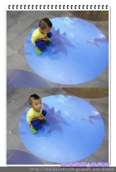 20241009-2igmw