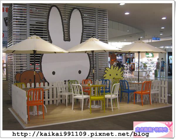 20241009-rpbg8