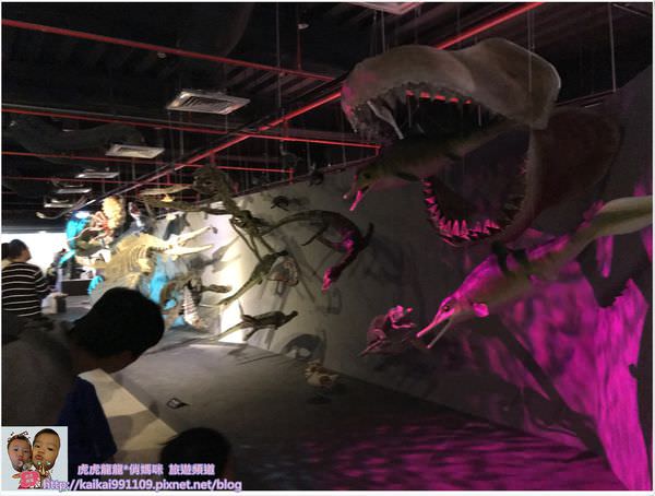 20241009-1au5g
