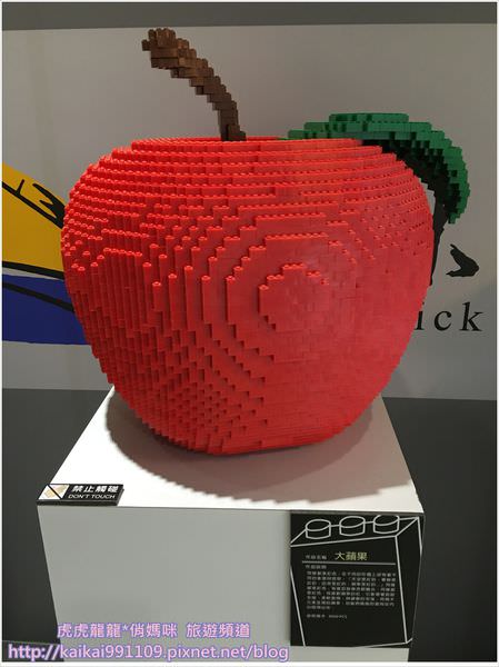 20241009-4rnct