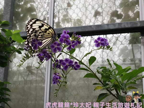 20241009-pj3y2