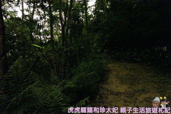 20241009-zav7w