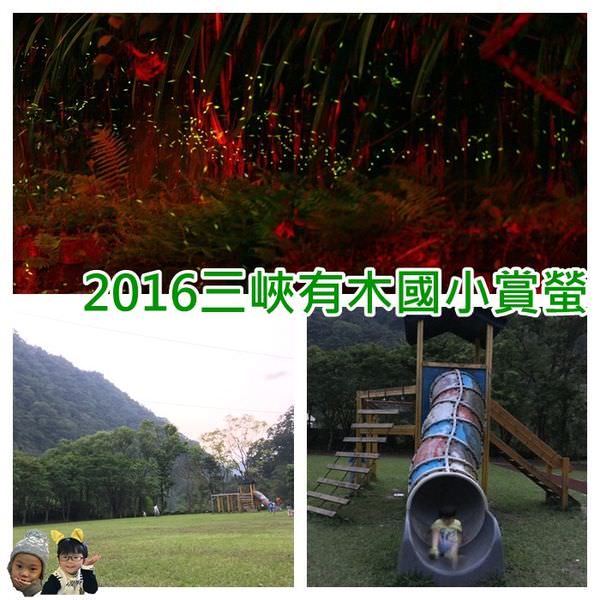 20241009-6ysk0