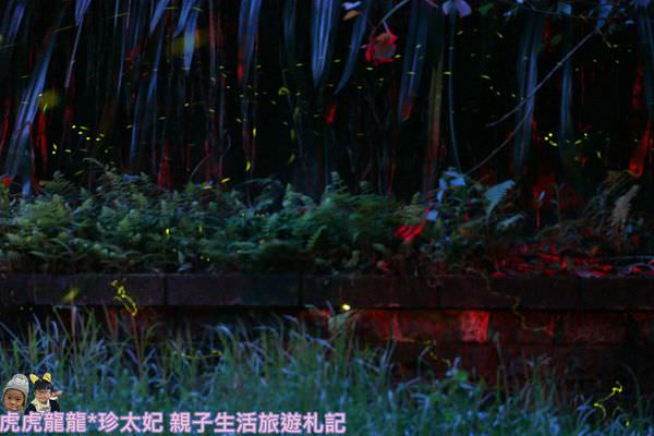 20241009-buoah