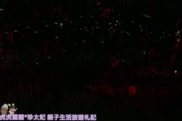 20241009-f0v57