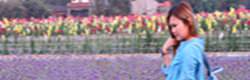 20241009-q03jb