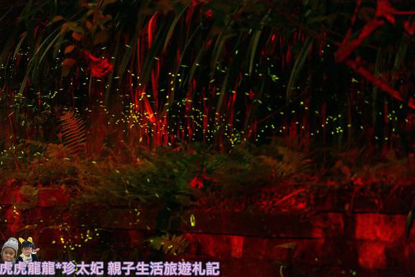 20241009-vcpce
