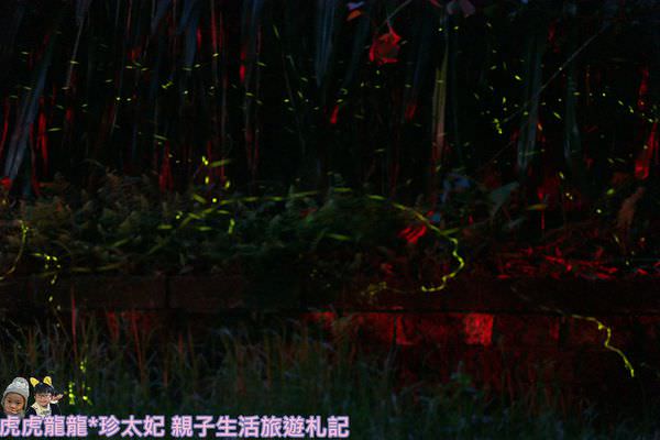 20241009-vuknk