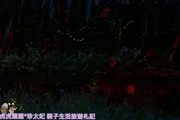 20241009-zdsik
