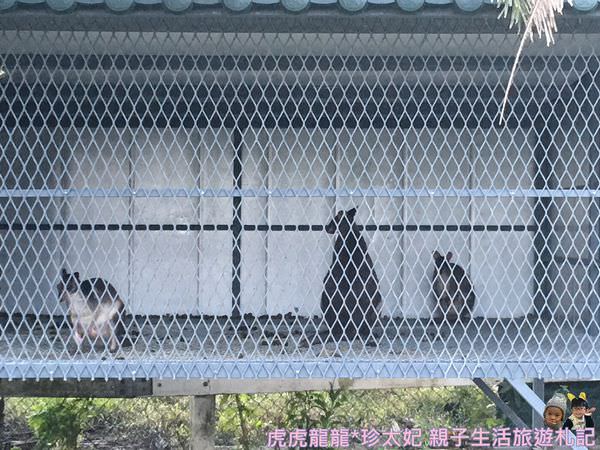 20241009-ckouv