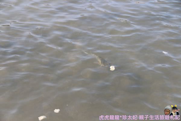 20241009-gz236