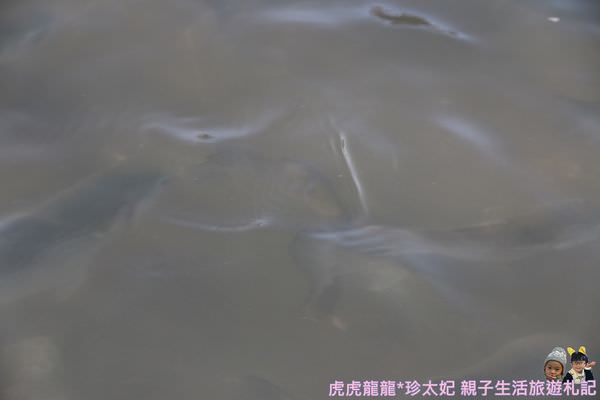 20241009-xchw2