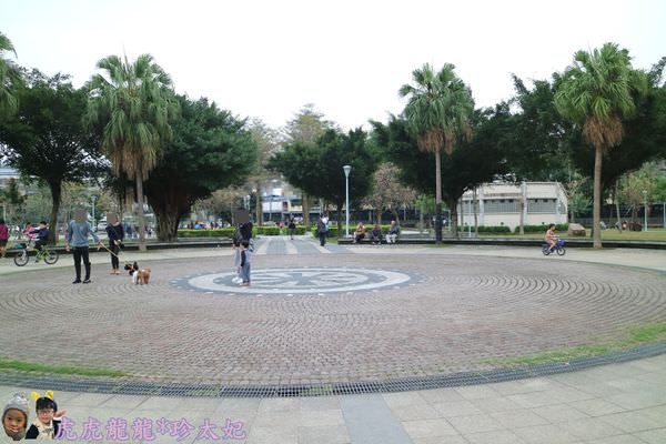 20241009-yvh6q