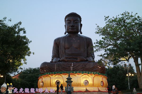 20241009-4co80