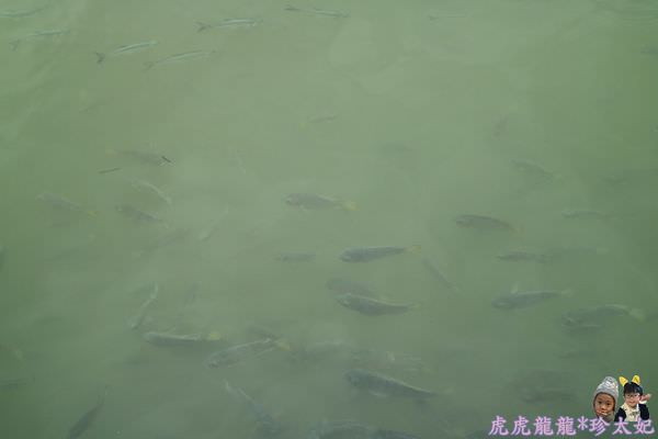 20241009-lwp6u