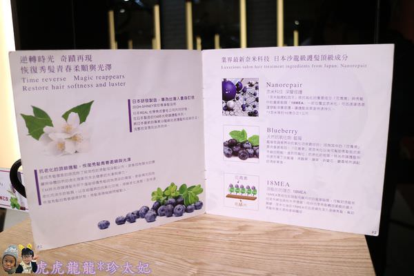 20241009-yjphn