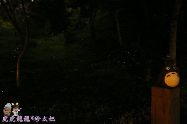 20241009-amhc0