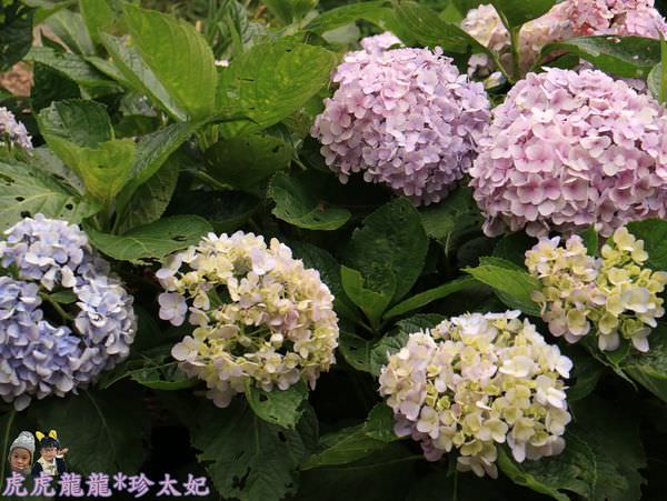 20241009-g11xn