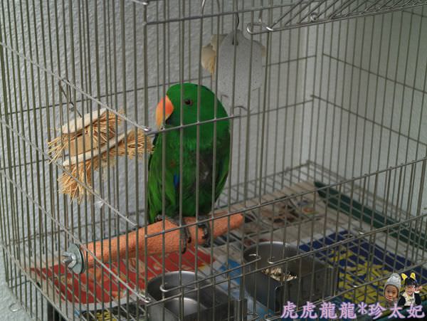 20241009-4pifq