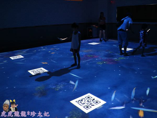 20241009-80bek