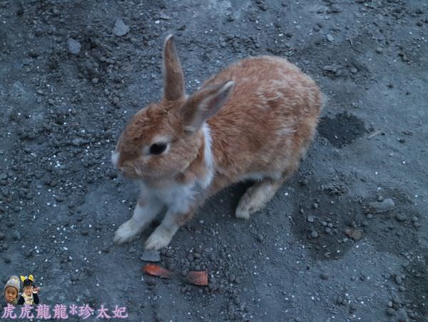 20241009-rl4rr