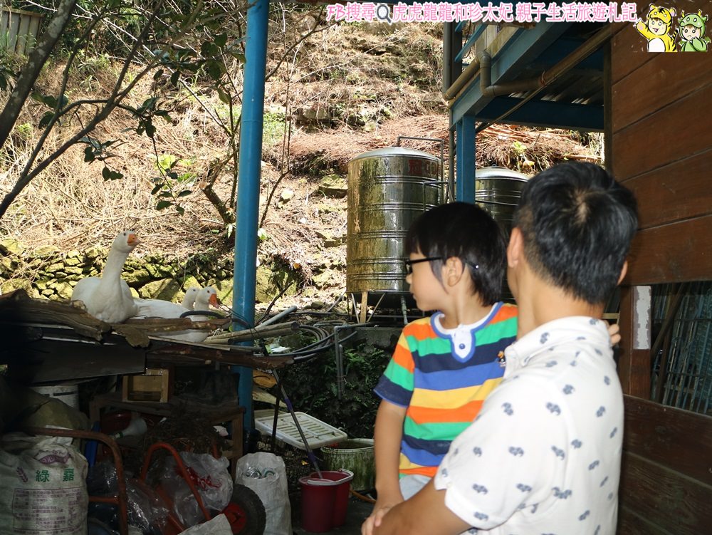 20241009-j5wnc
