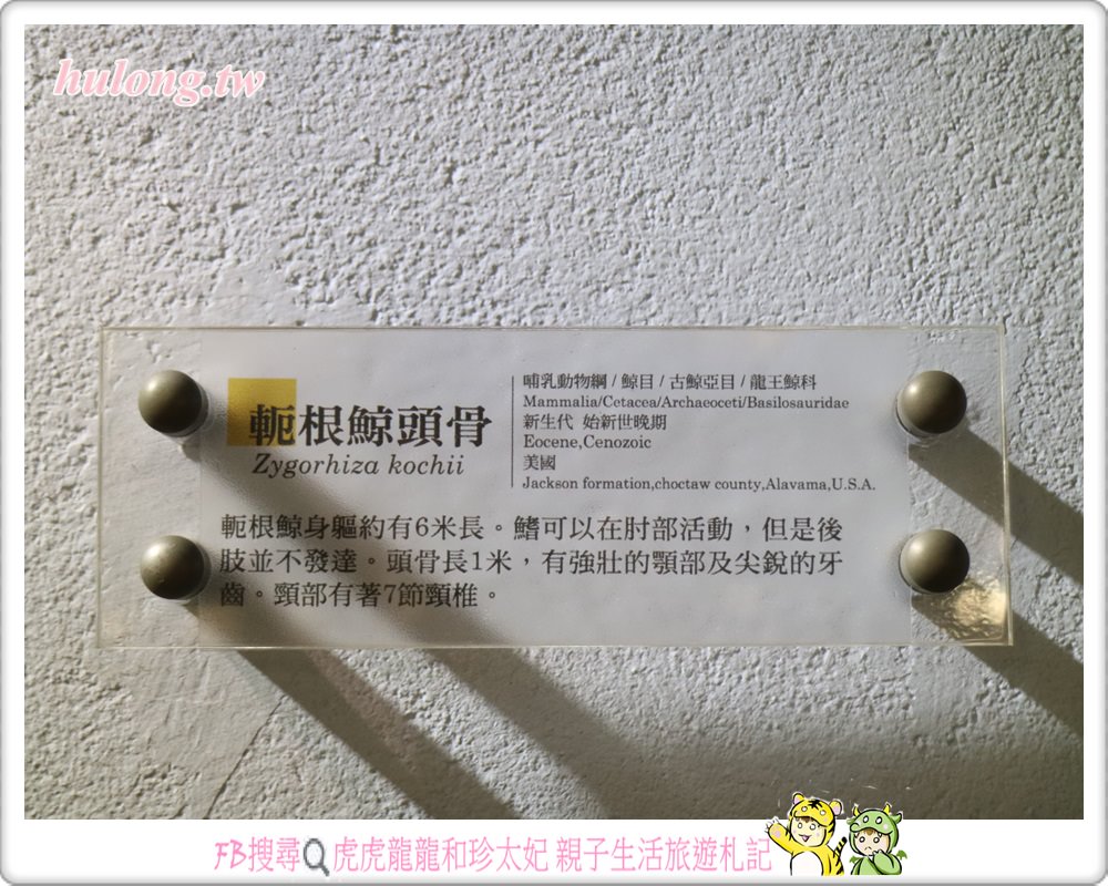20241009-ndk1c