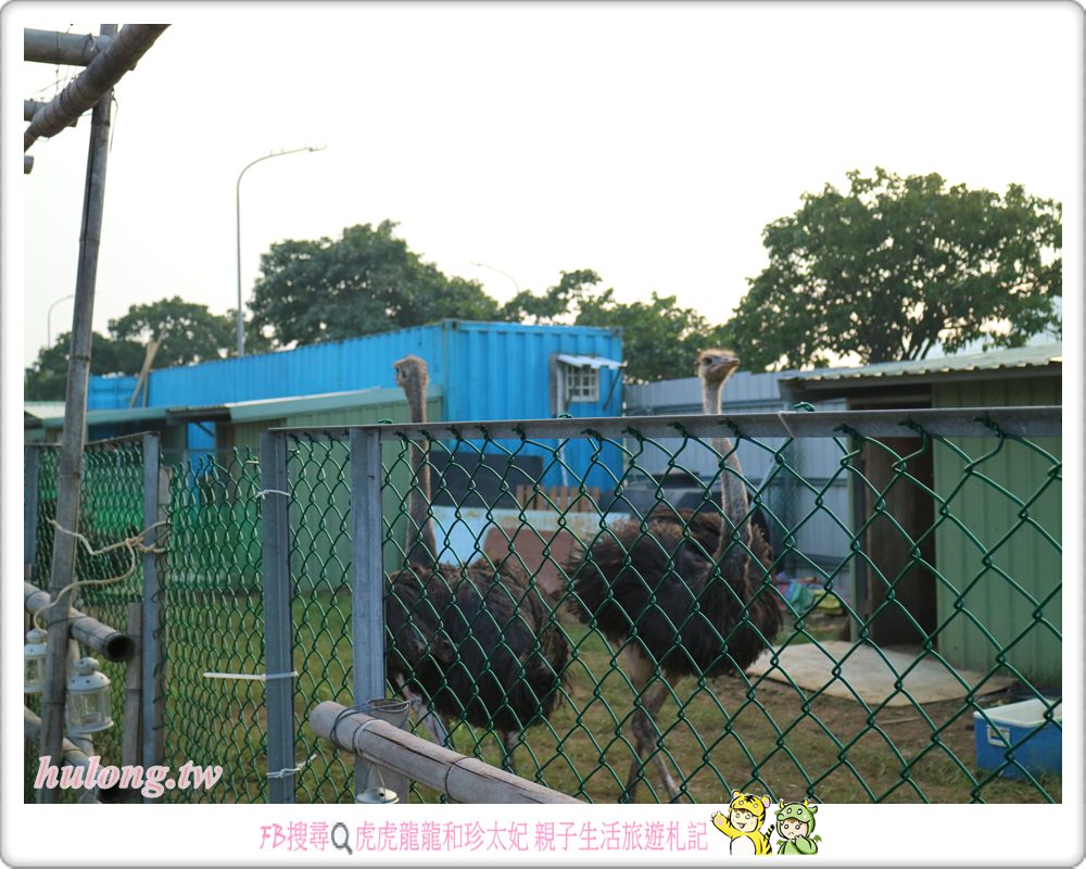 20241009-g1qwv