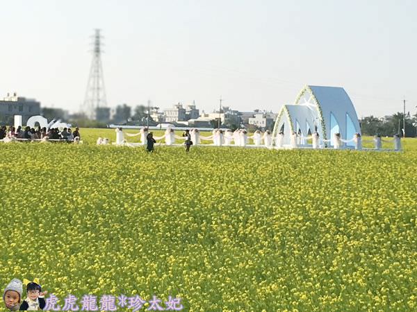 20241009-qtj5v