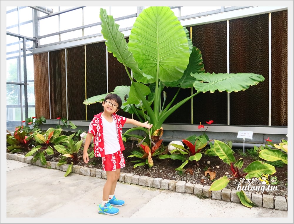 20241009-jgh99