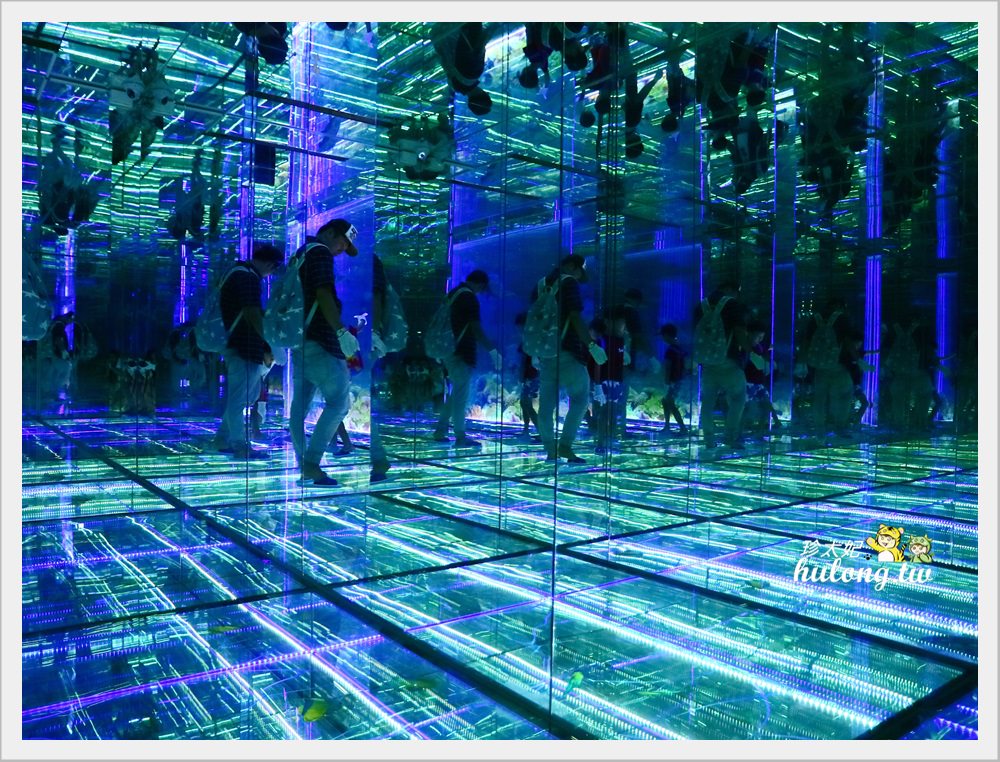 20241009-gxmi3