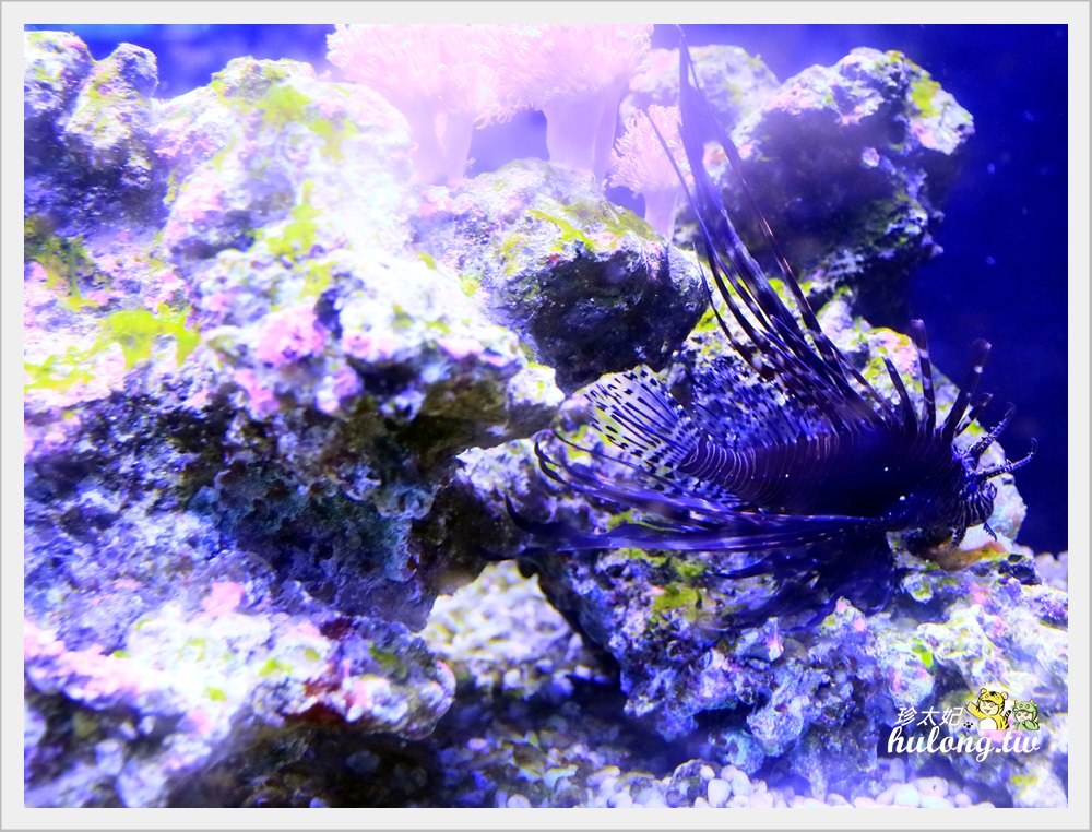20241009-igg18