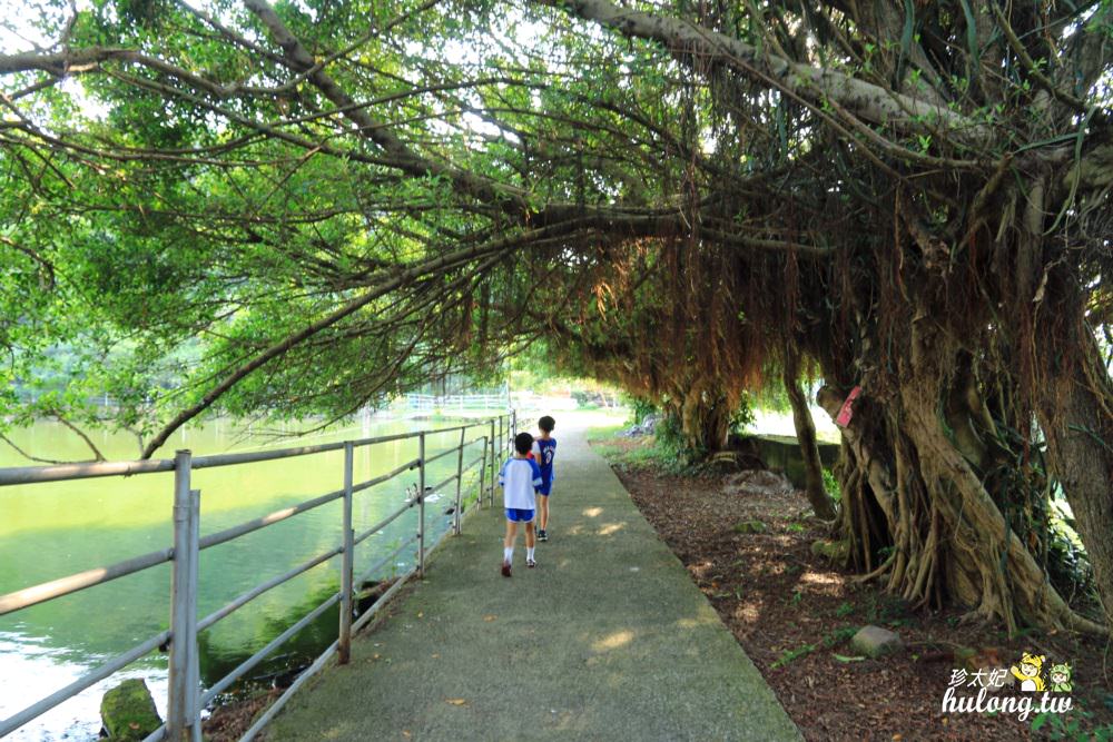 20241009-nz5z5