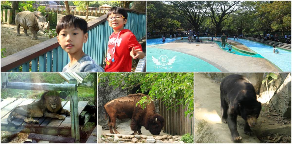 高雄親子景點「壽山動物園」週休二日看動物 也是玩水景點好去處!
