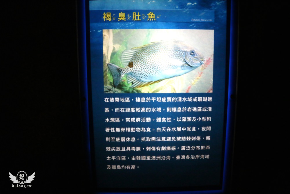 20241009-2f0ko
