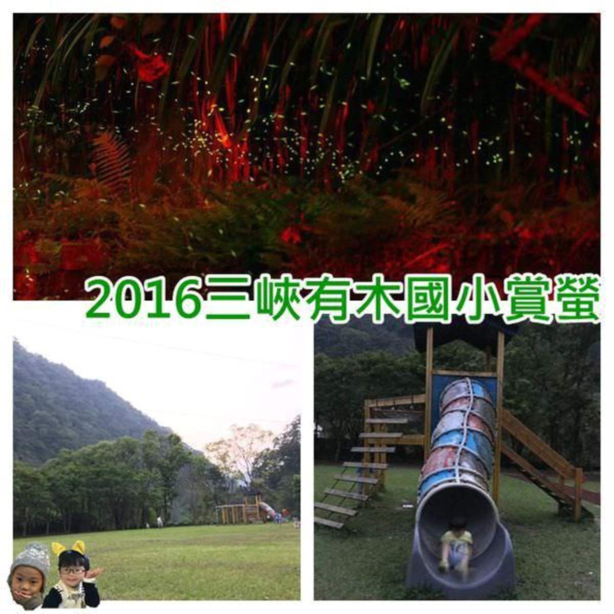 20241009-pcrwl