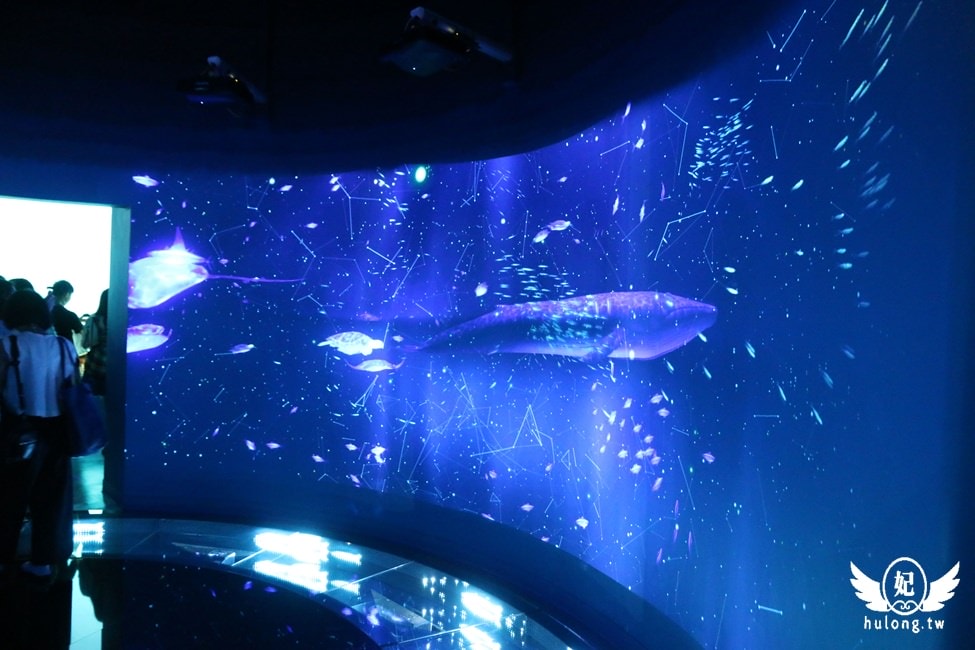 20241009-xa800