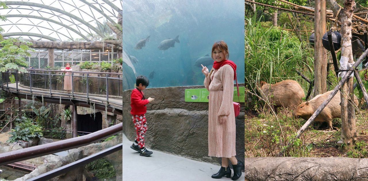 台北市立木柵動物園