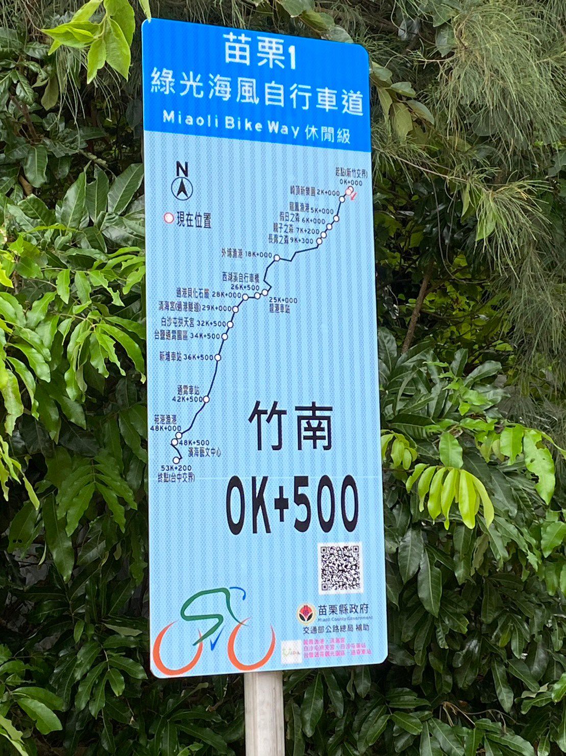 20241010-1tfo7