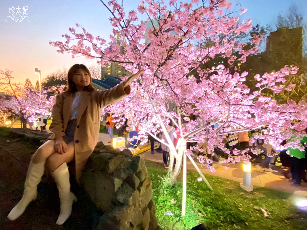 台灣櫻花季》台灣賞櫻景點推薦，平地賞櫻、山上賞櫻行程、夜櫻季!