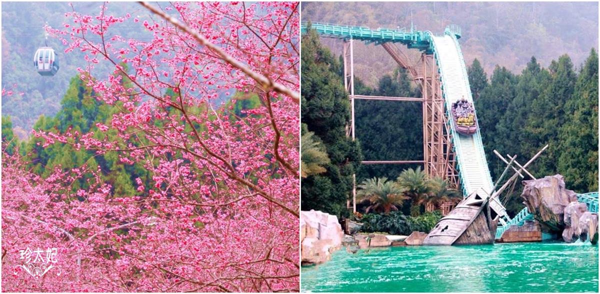 台灣櫻花季》台灣賞櫻景點推薦，平地賞櫻、山上賞櫻行程、夜櫻季!