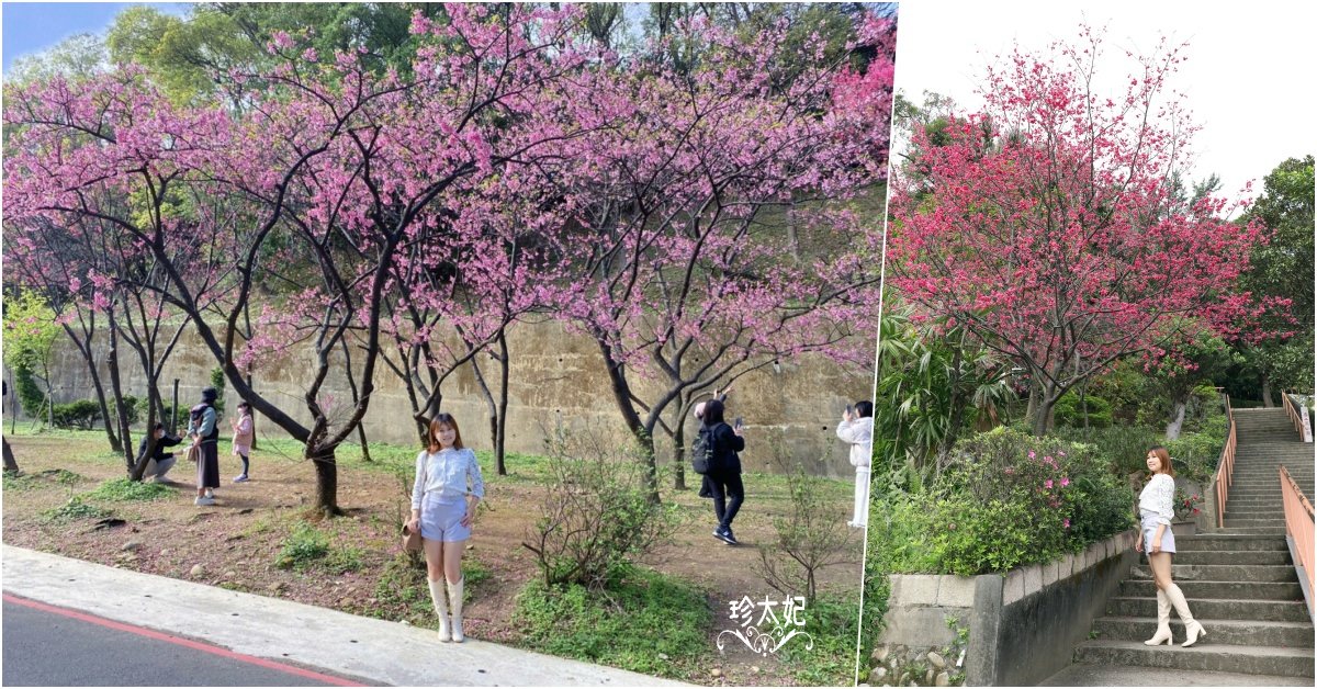 【台灣特色廟宇】走春拜拜、玩拍全台寺廟景點
