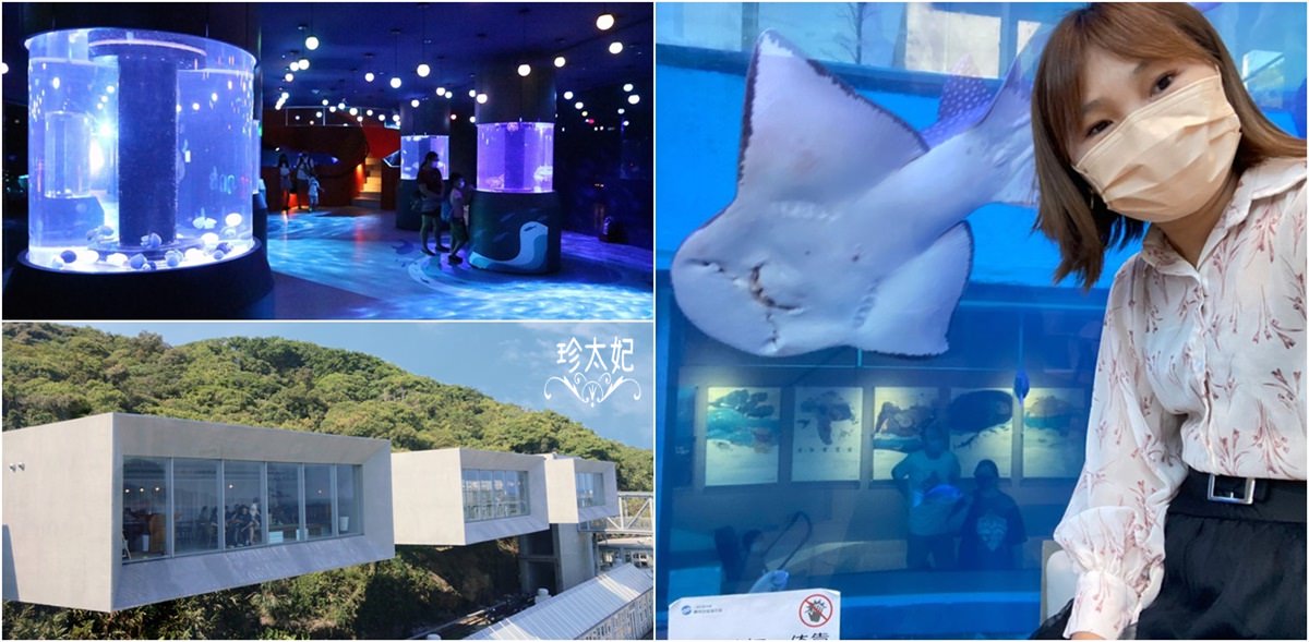 全台海生館，6座台灣水族館、海洋館景點攻略
