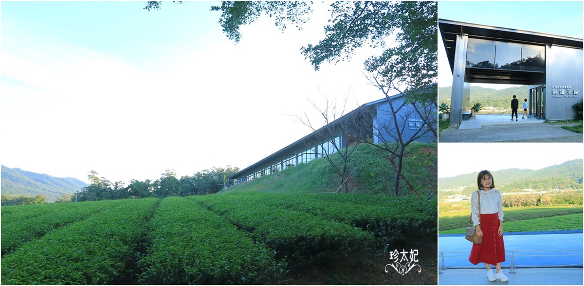 苗栗銅鑼景點｜台灣農林銅鑼茶廠(附門票)｜茶園風光，苗栗一日遊順遊景點