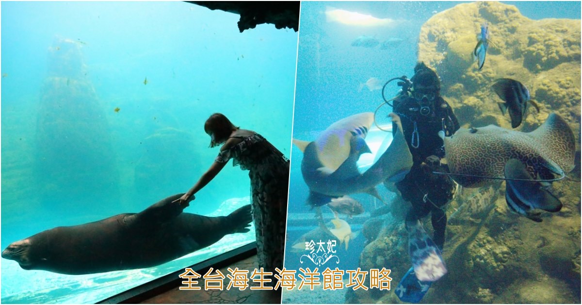 全台海生館，6座台灣水族館、海洋館景點攻略